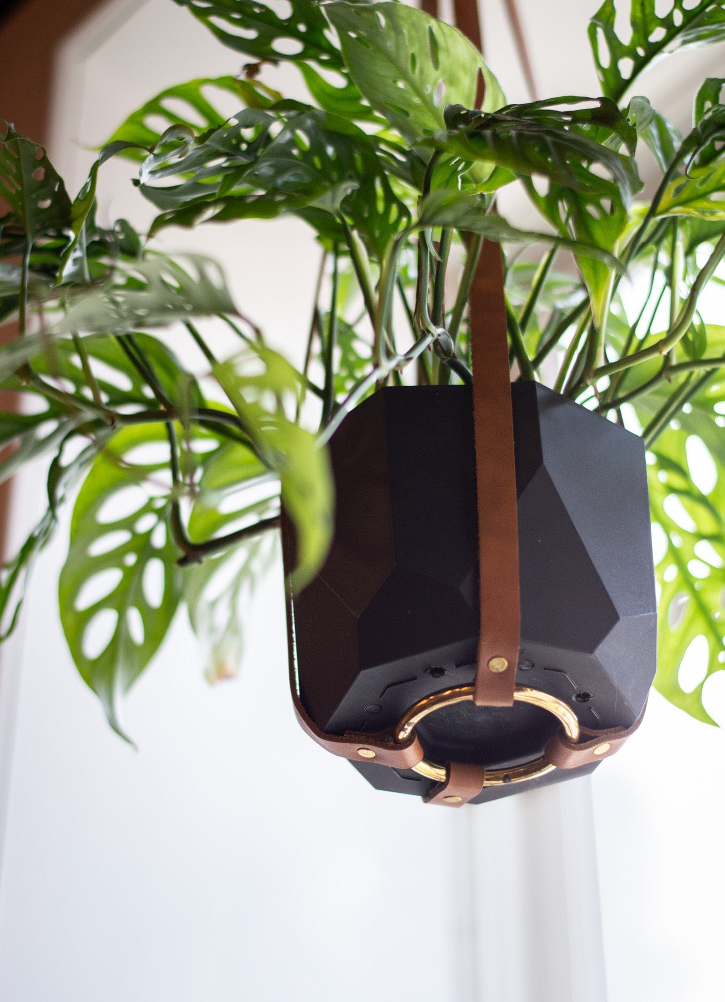Urban Southern Leather Plant Hanger
