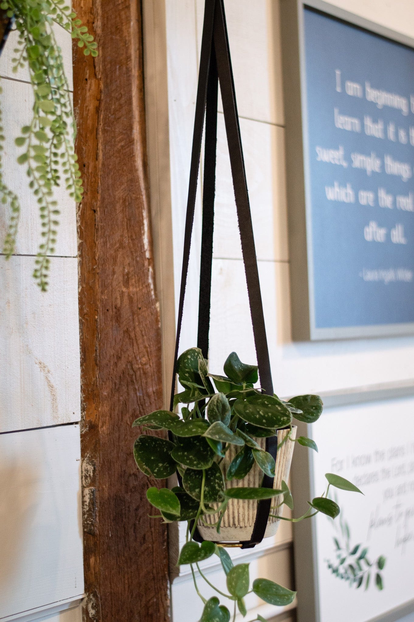 Urban Southern Leather Plant Hanger