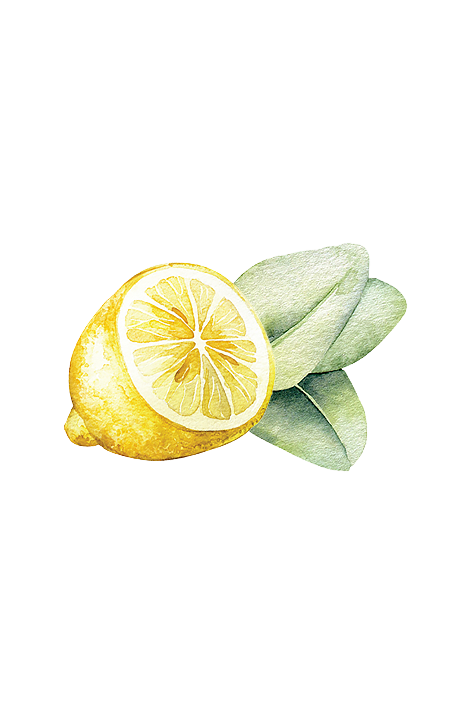 Dish Soap | Lemon &amp; Eucalyptus