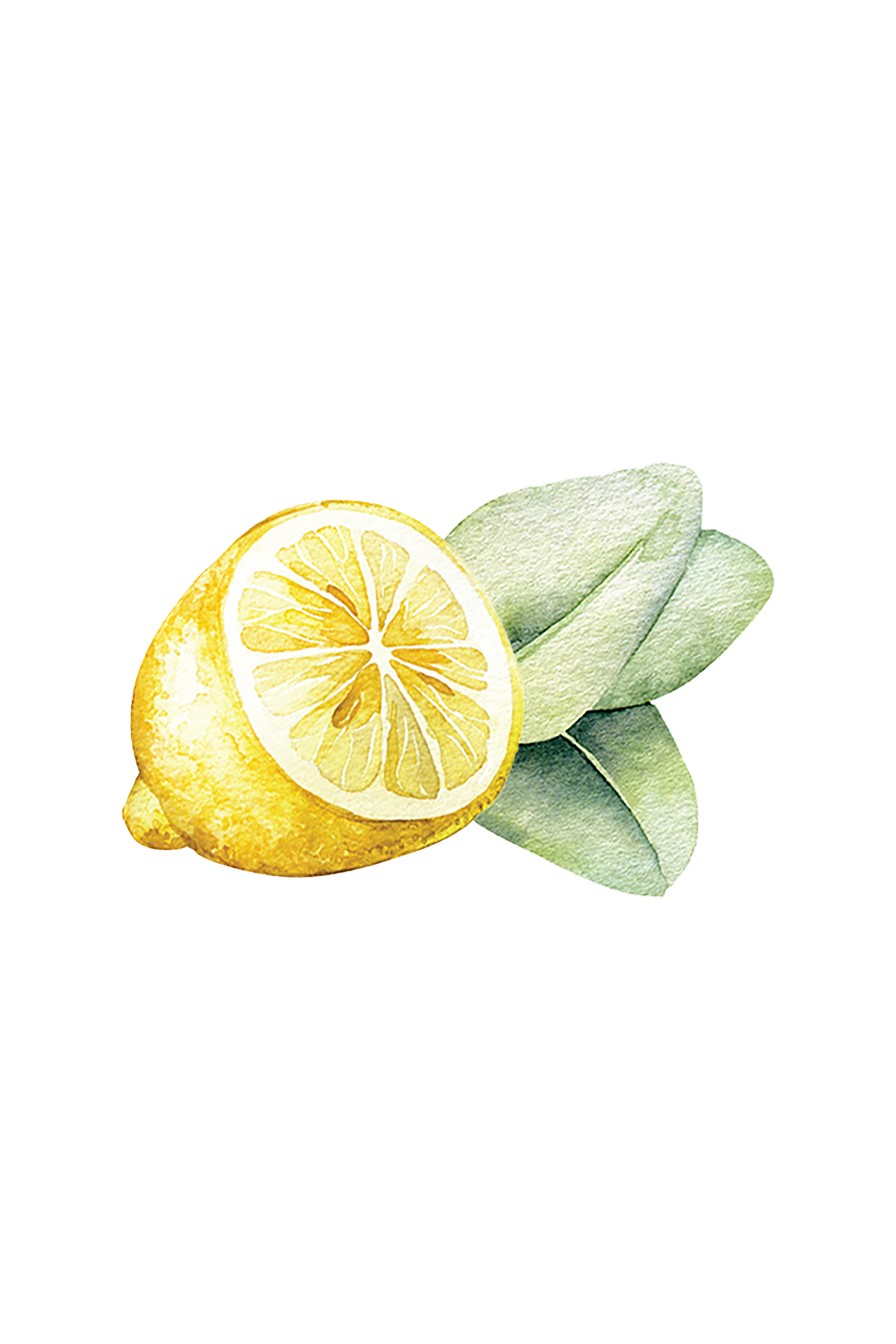 Dish Soap | Lemon &amp; Eucalyptus