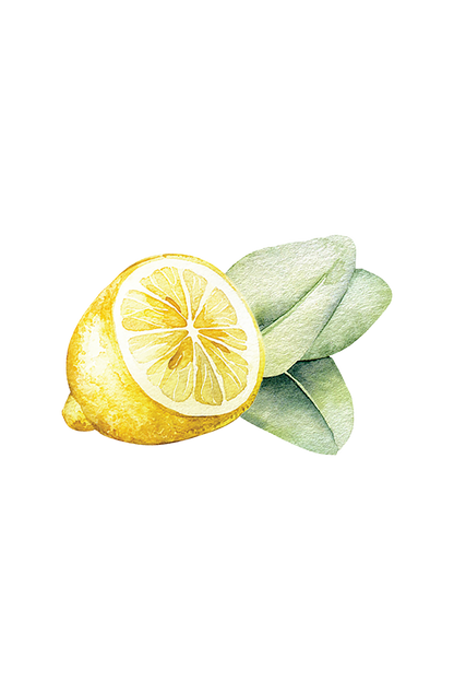 Dish Soap | Lemon &amp; Eucalyptus