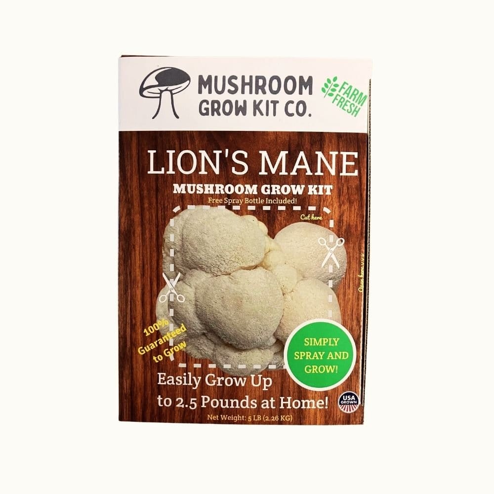 Mushroom Grow Kit Co. Lion&