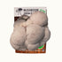 Mushroom Grow Kit Co. Lion&
