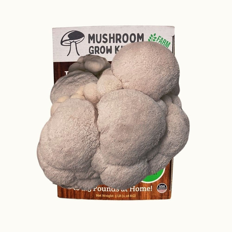 Mushroom Grow Kit Co. Lion's Mane Premium Lion's Mane Mushroom Growing Kit - 5 LBS