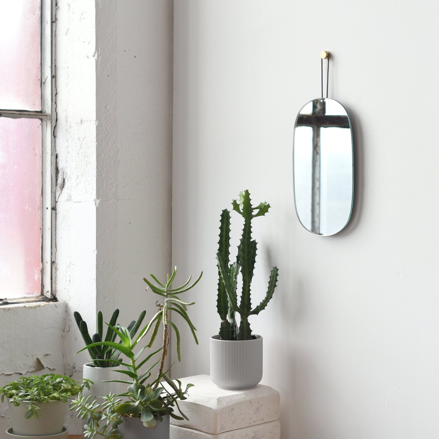 Misewell Mirrors Lure Mirror - Single
