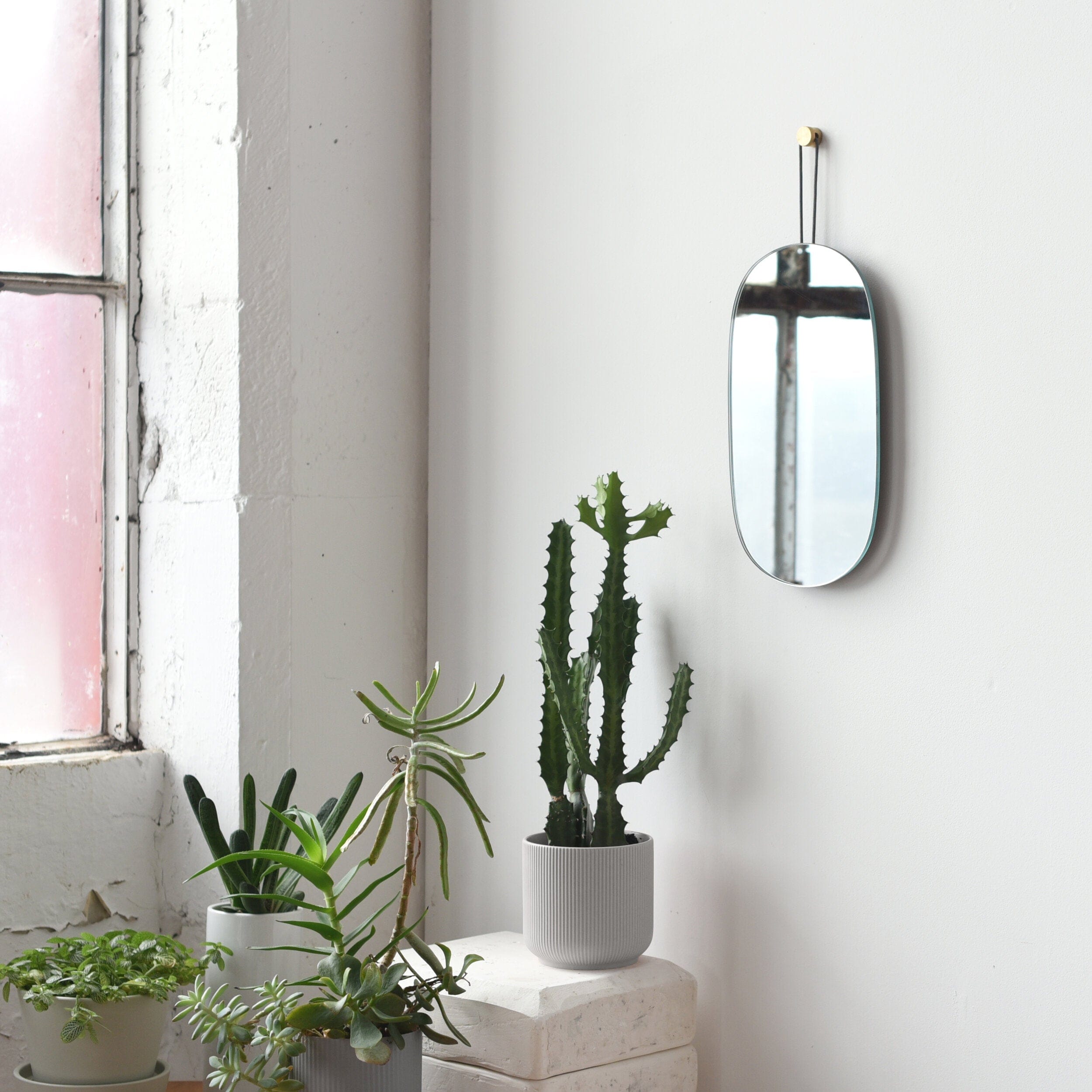 Misewell Mirrors Lure Mirror - Single