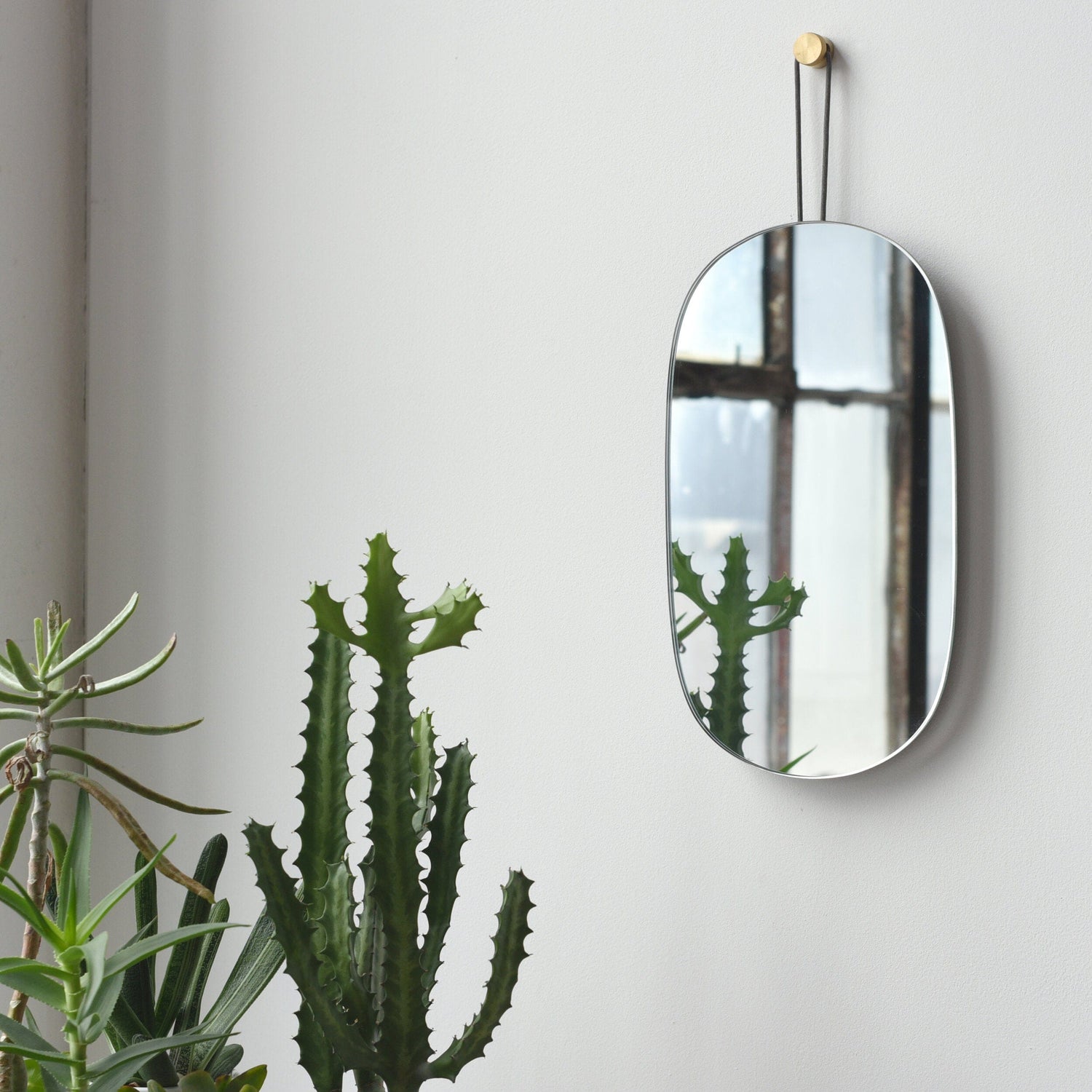 Misewell Mirrors Lure Mirror - Single