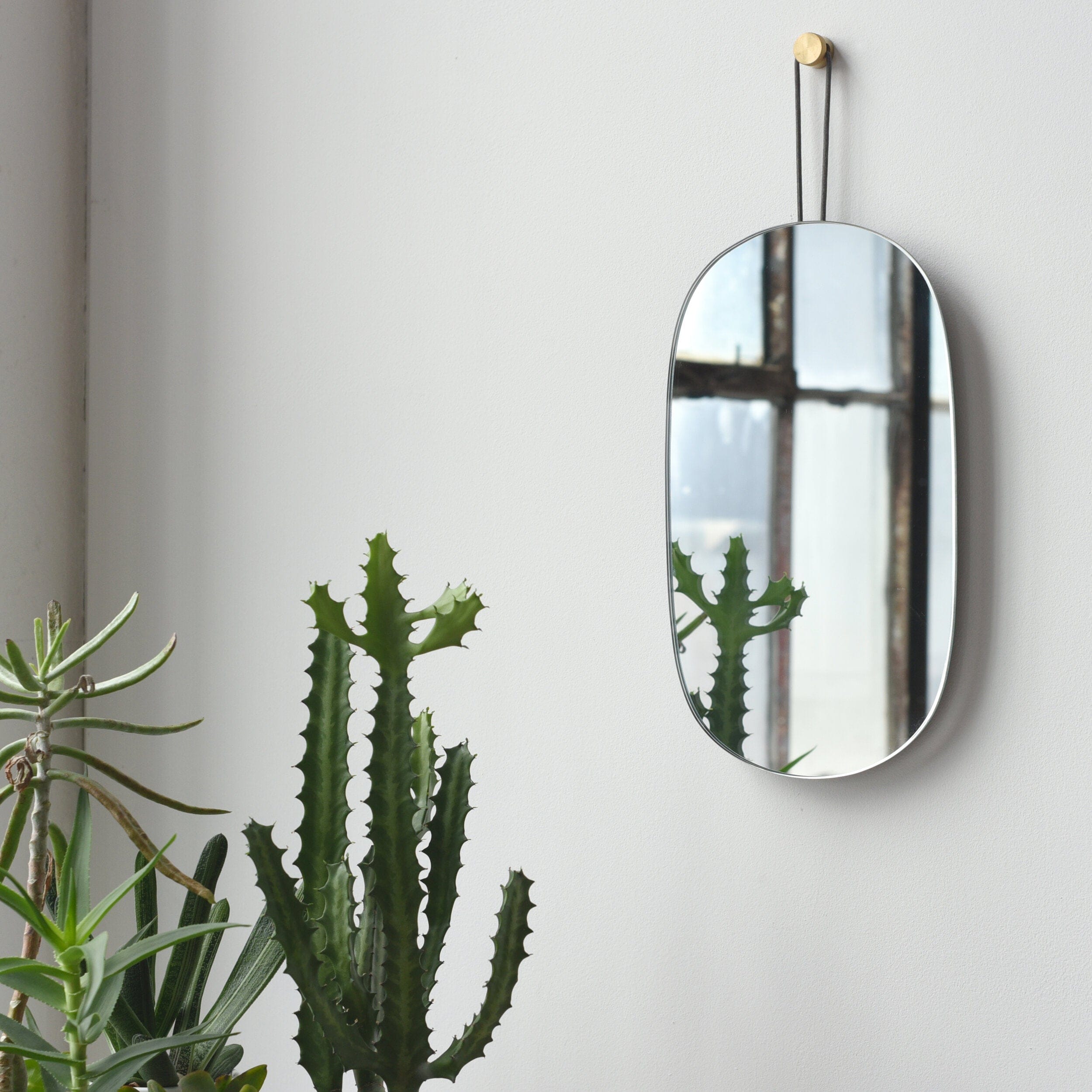 Misewell Mirrors Lure Mirror - Single