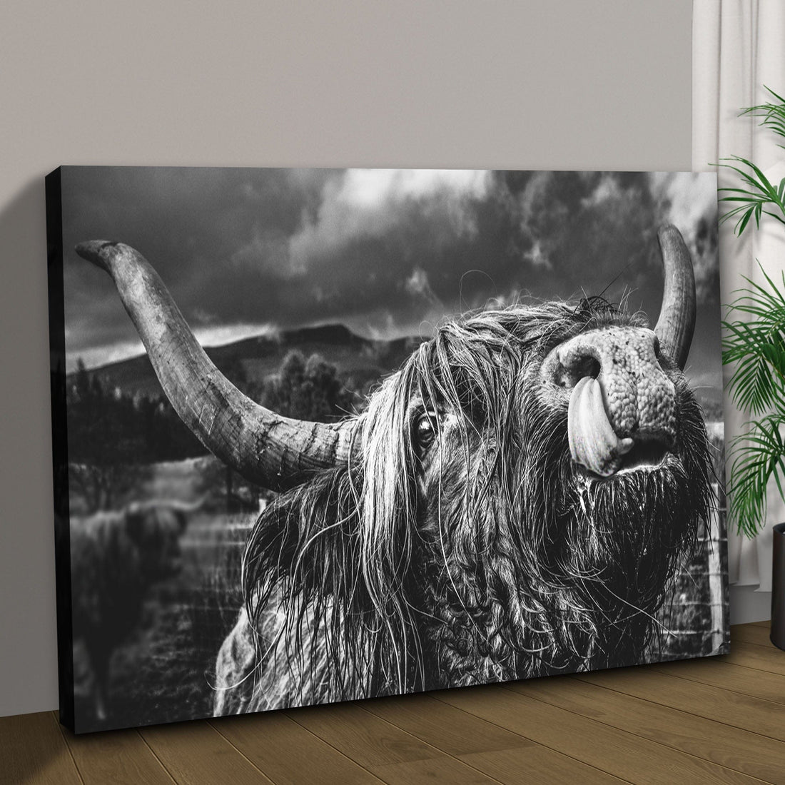 Tailored Canvases Canvas West Highland Cow Monochrome Canvas Wall Art