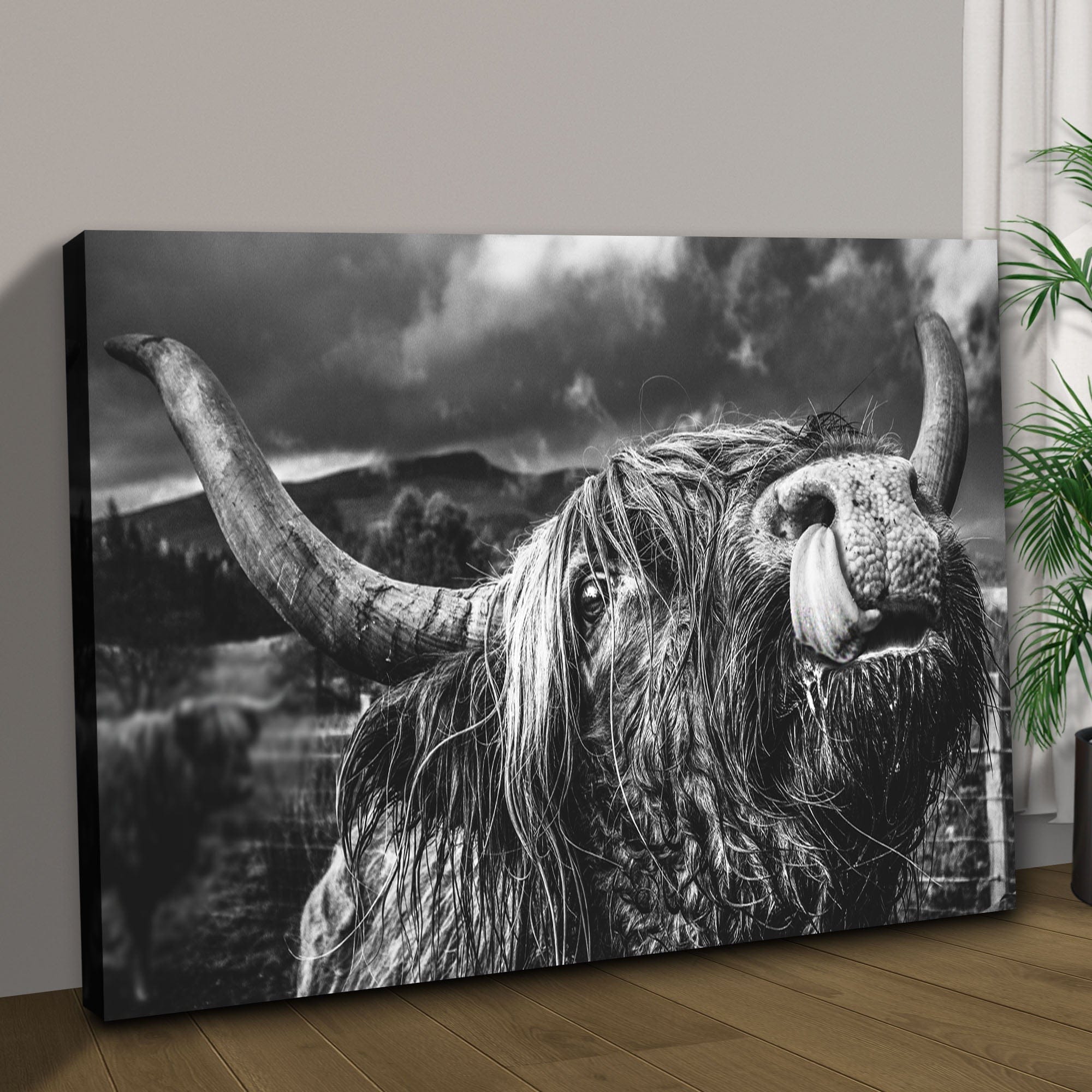 Tailored Canvases Canvas West Highland Cow Monochrome Canvas Wall Art