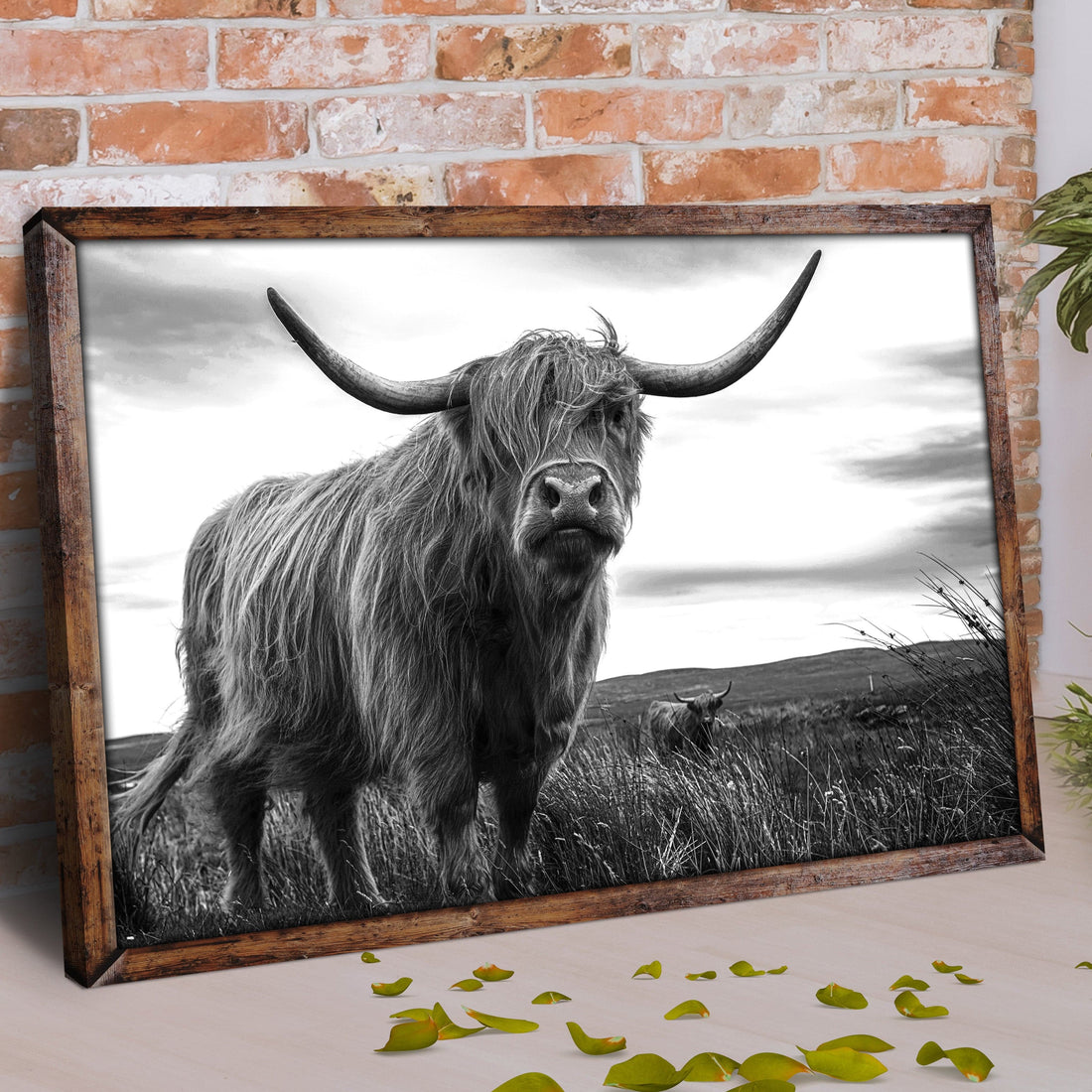 Tailored Canvases Canvas Highland Cow Black And White Portrait Canvas Wall Art