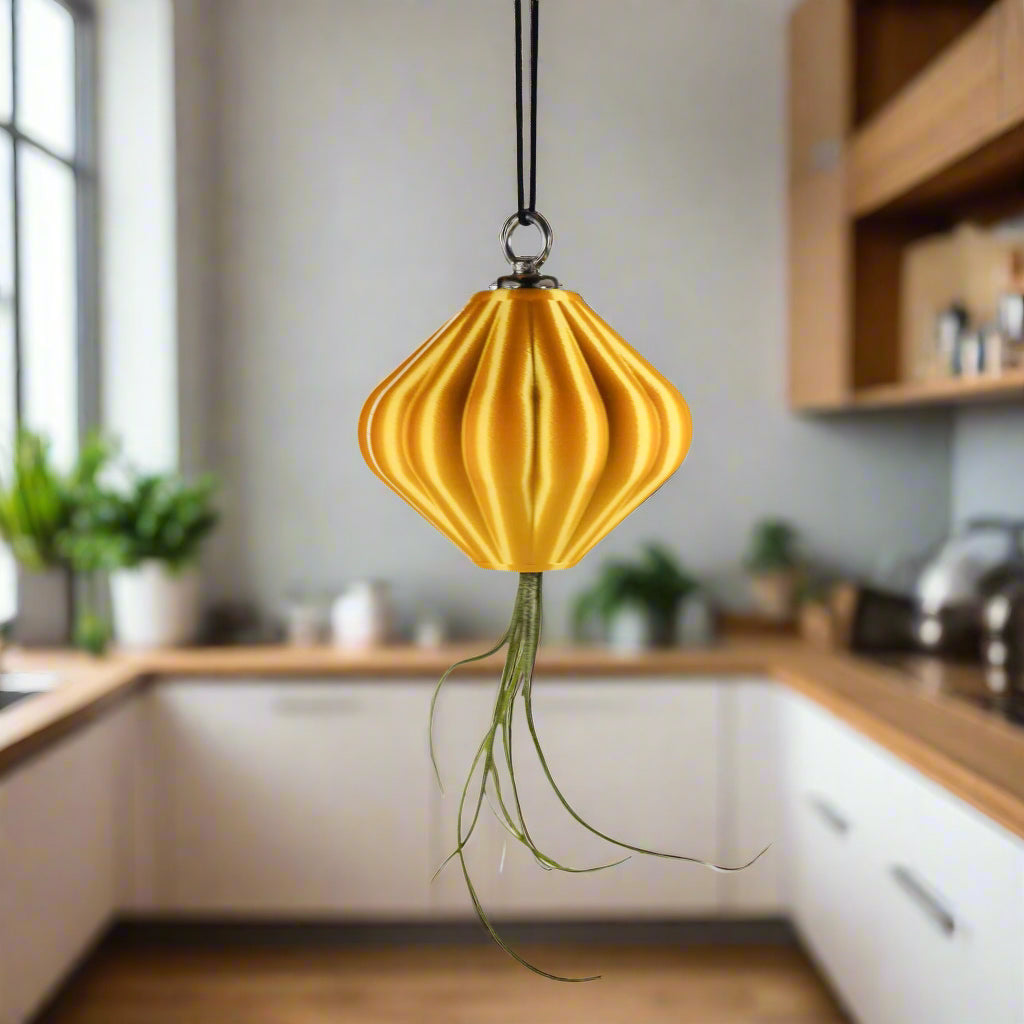 MAGNETIC Air Planter, JellyFish, Air Plant Included - My American Goods