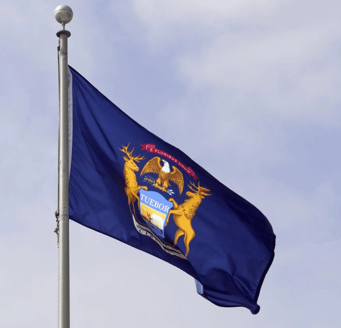 Flags Unlimited USA Nylon State Flags Michigan