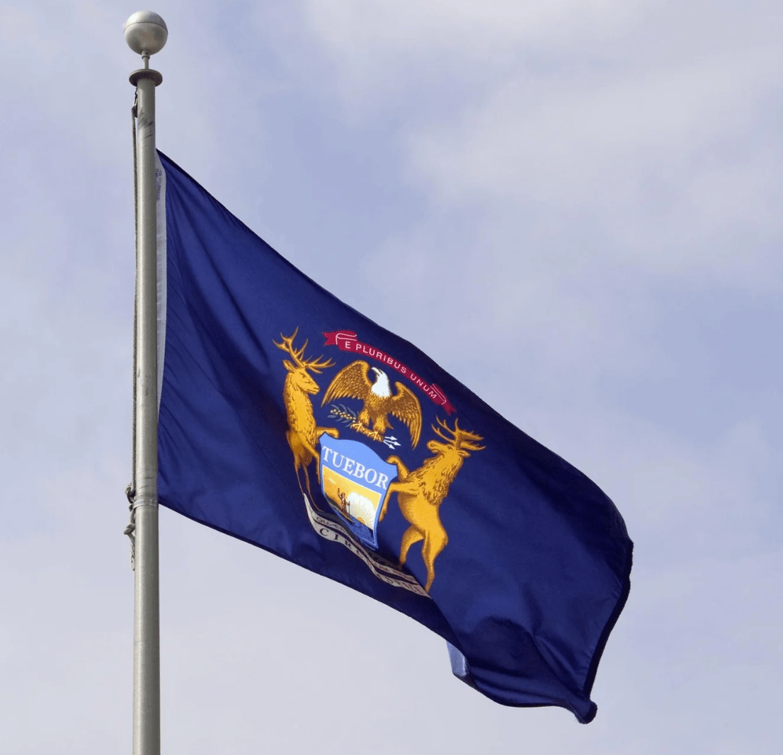 Flags Unlimited USA Nylon State Flags Michigan