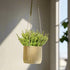 Mid Century Ribbed Hanging Plant Pots - My American Goods