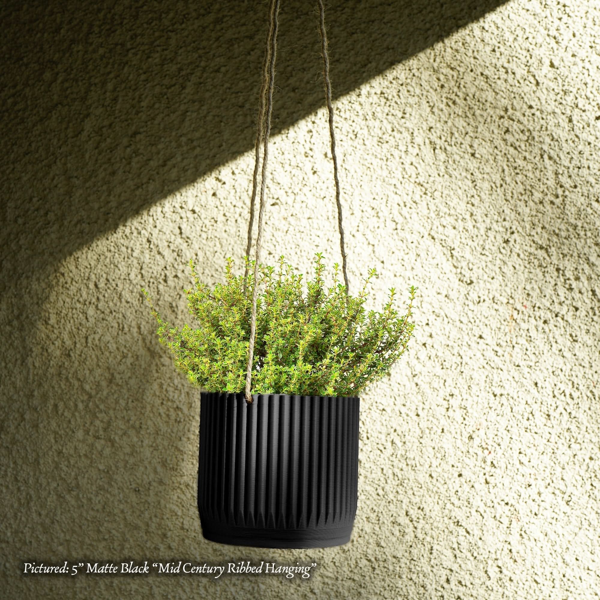 Rosebud HomeGoods Hanging Planter Black / With Drainage / 4” Mid Century Ribbed Hanging Plant Pots