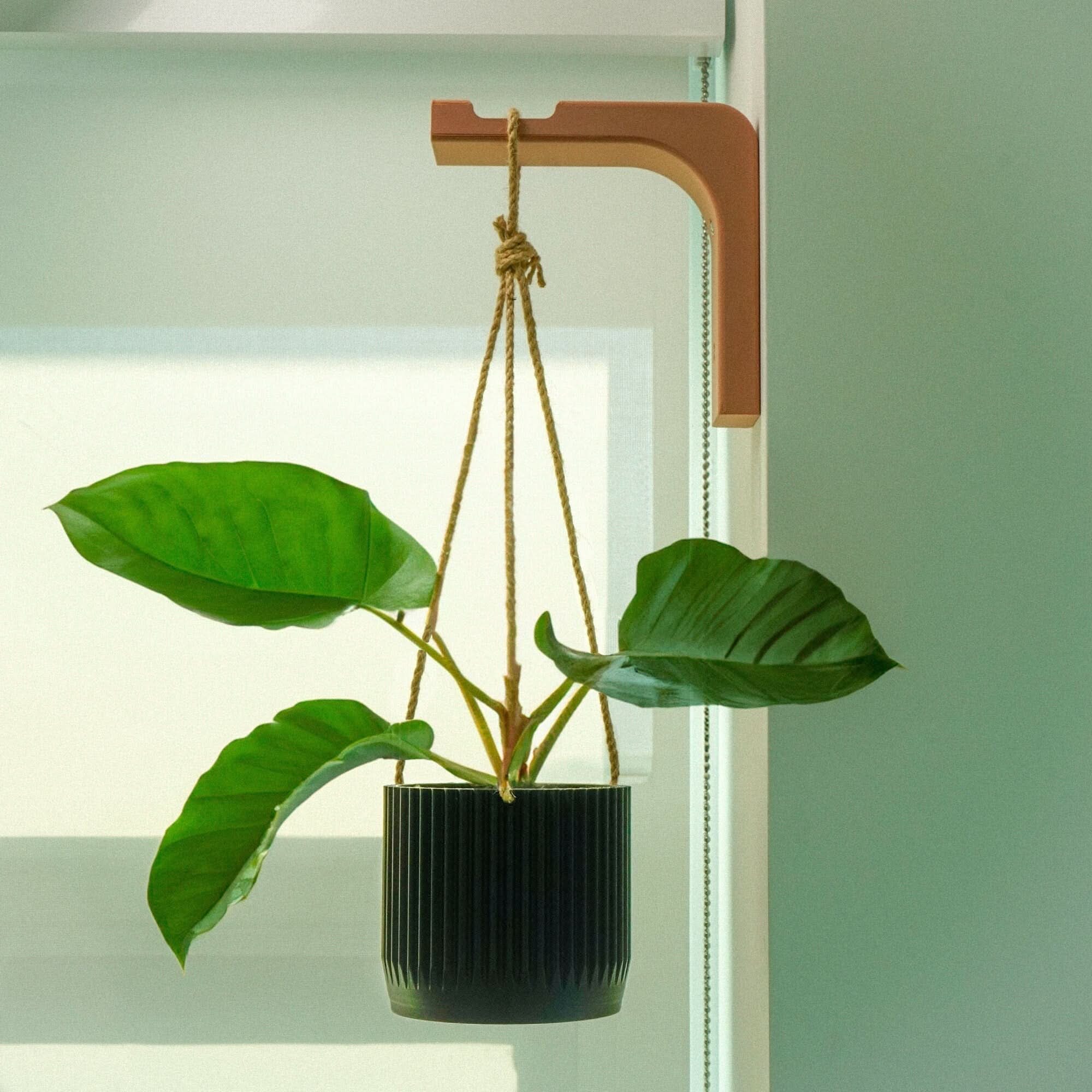 Rosebud HomeGoods Wall Hook Minimal Modern Hanging Planter Wall Hook
