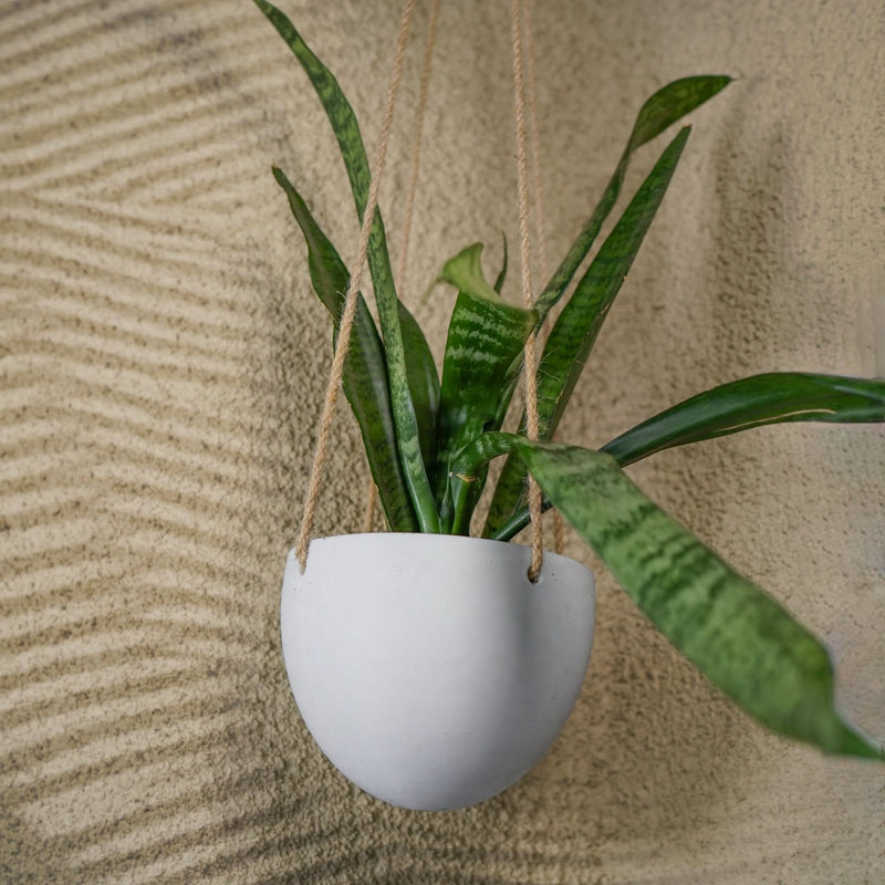 Rosebud HomeGoods Hanging Planter White / No Drainage / Small Minimalist Hanging Plant Pot with Drainage