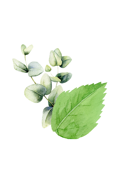 Mint &amp; Eucalyptus Essential Oil Blend