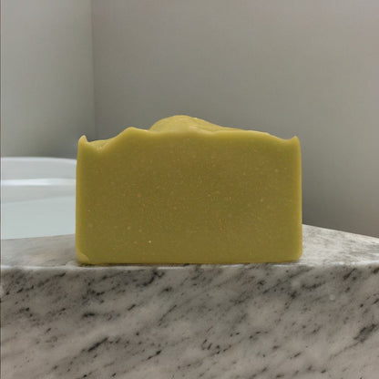 Beard Wash Brick - Mint - My American Goods