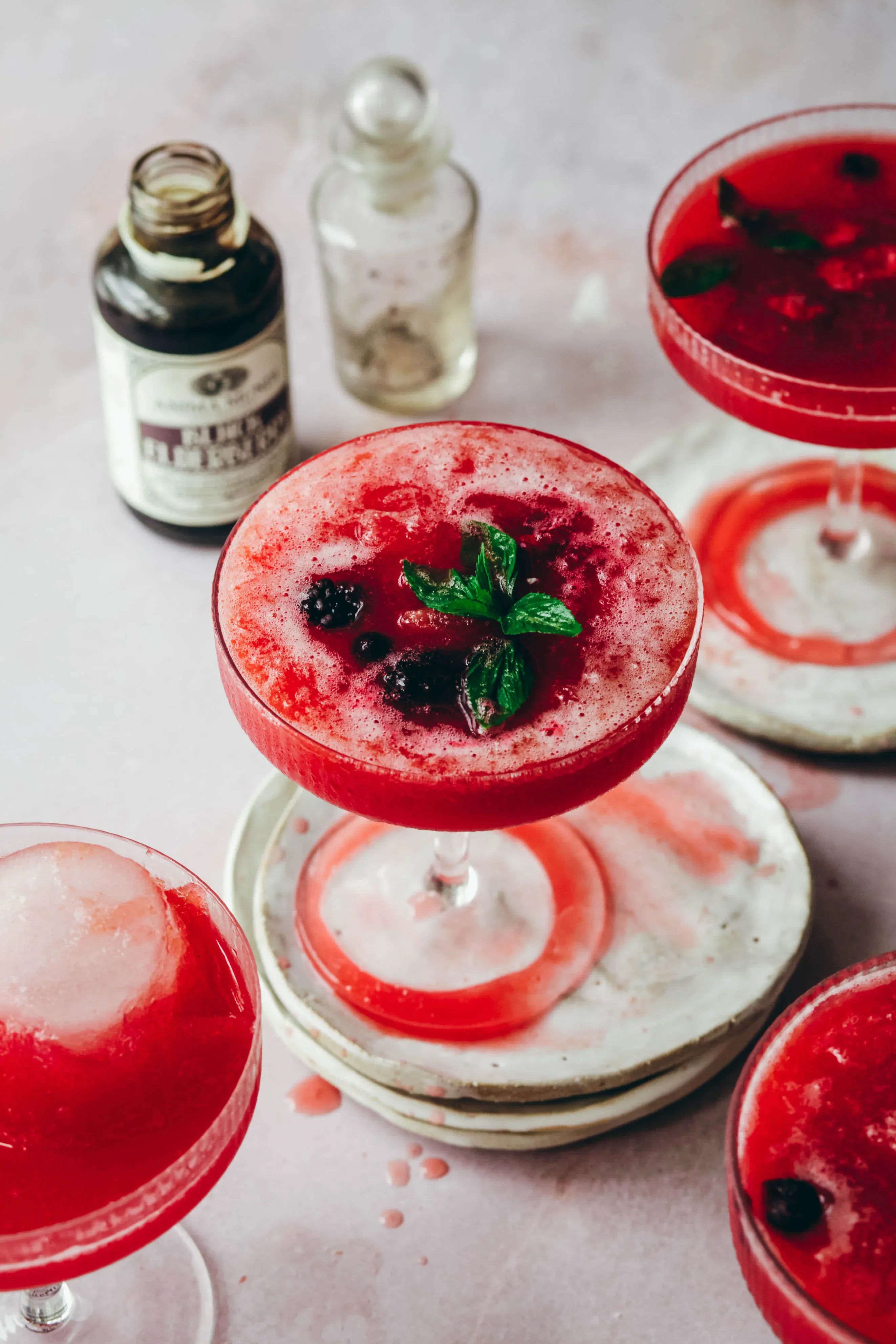 Anima Mundi BLACK ELDERBERRY Elixir | Botanical Mushroom Syrup