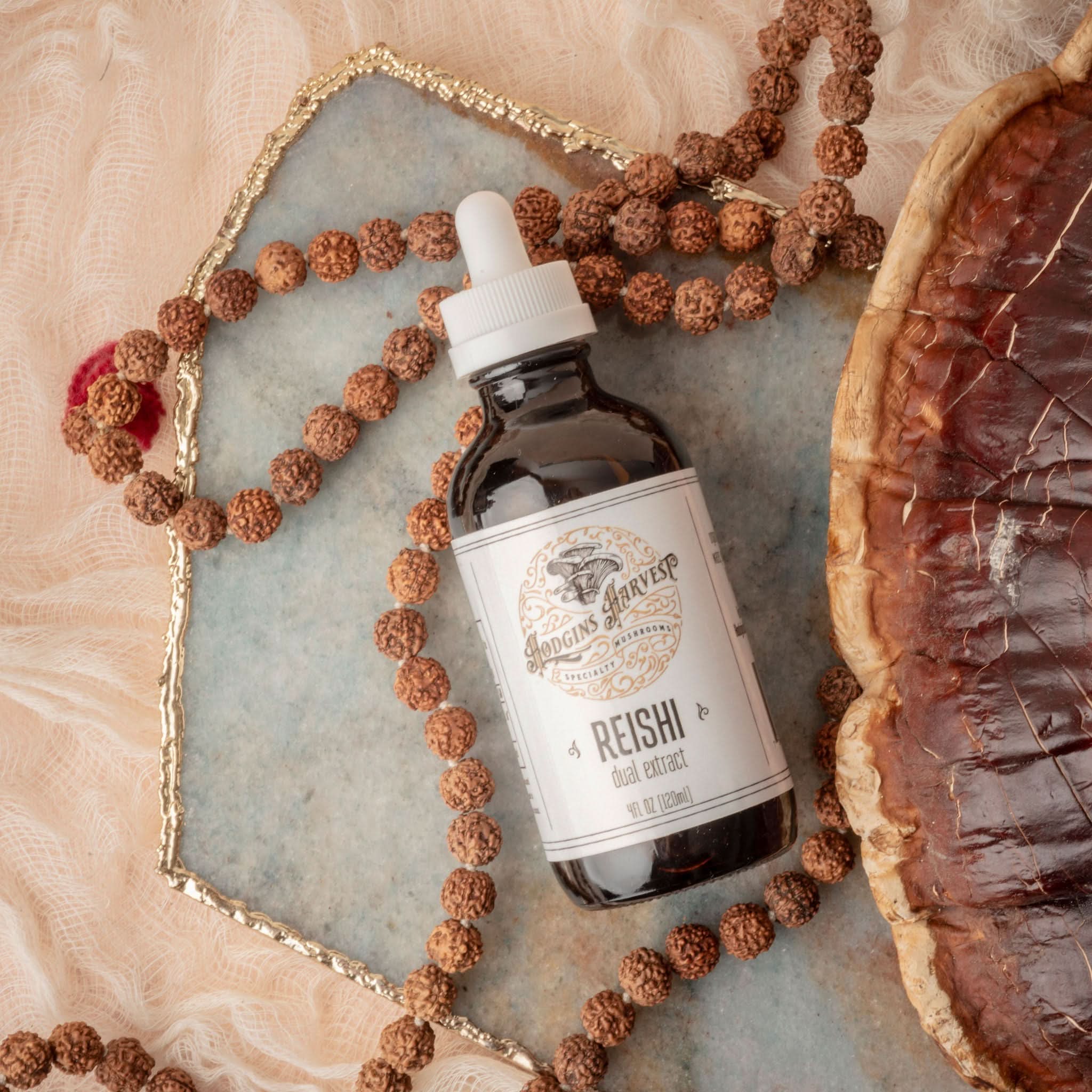 Hodgins Harvest Mushroom Extracts Reishi Dual Extract Tincture
