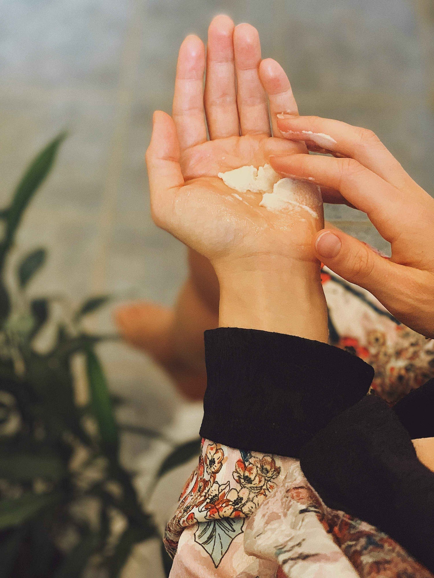 Sun Potion Adaptogen Shea Butter (Wildcrafted)
