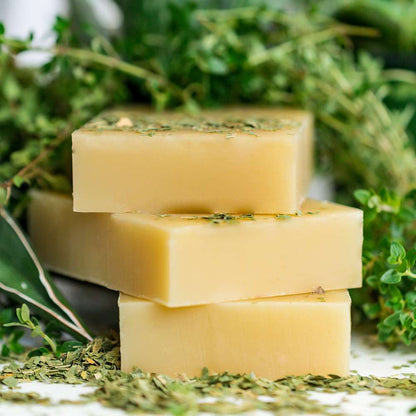 Neem &amp; Tea Tree Body &amp; Hair Shampoo