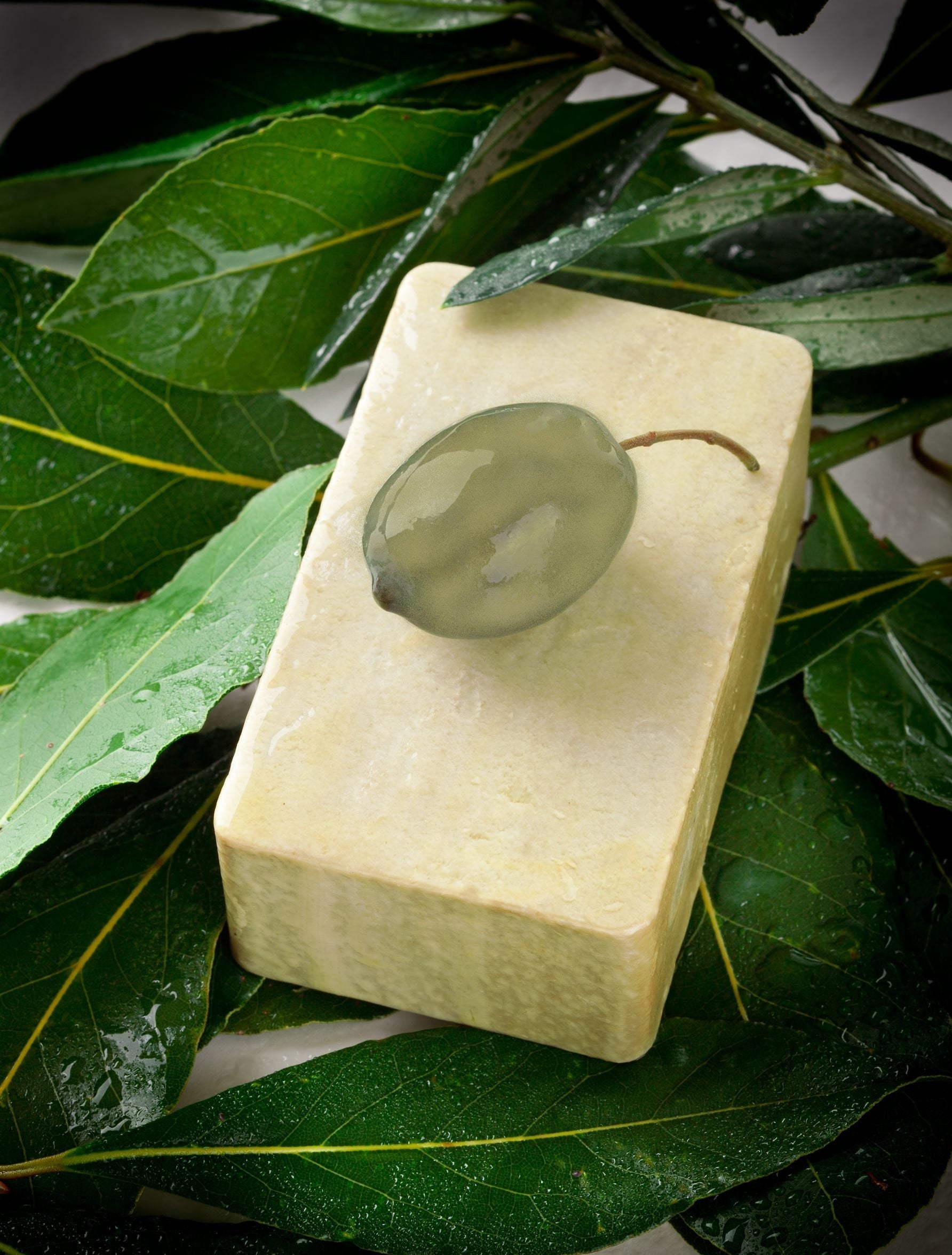 Rectangular bar of soap with a green stone on top, placed on green leaves.