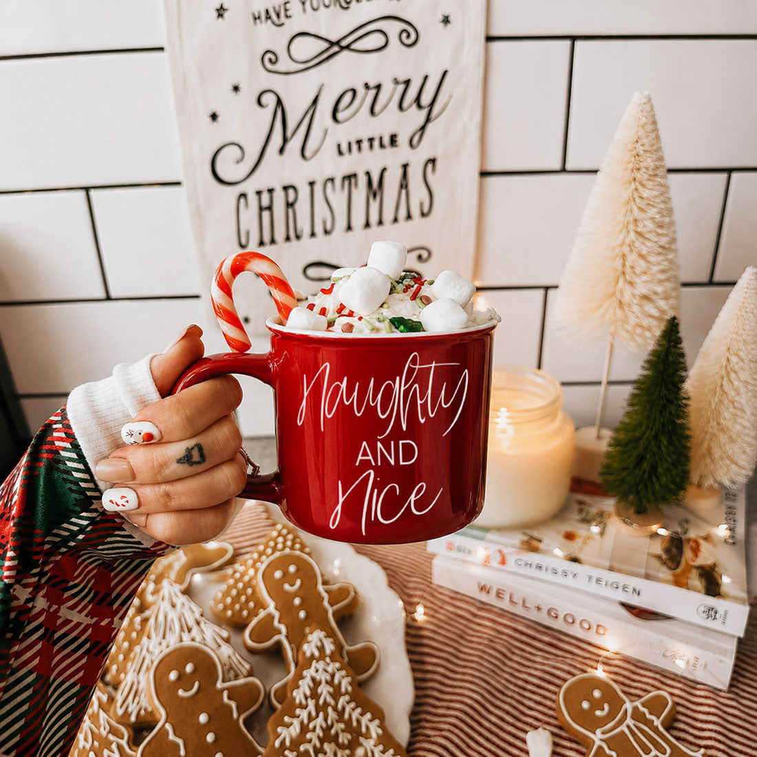 Naughty &amp; Nice Mug