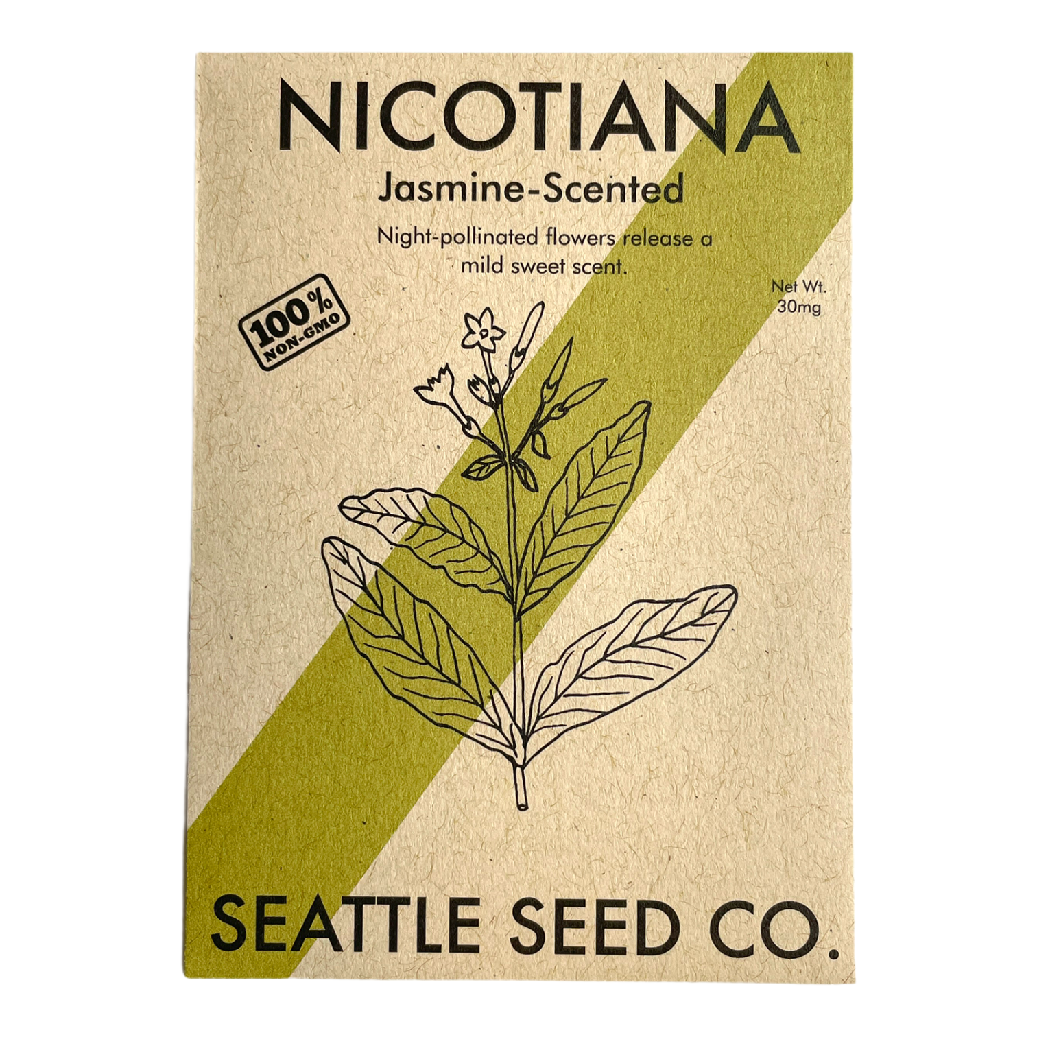 Jasmine Scented Nicotiana Seeds