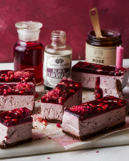 Anima Mundi BLACK ELDERBERRY Elixir | Botanical Mushroom Syrup
