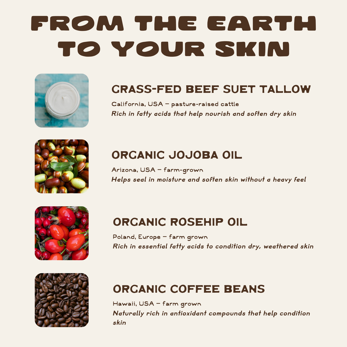 nourishing coffee-infused tallow cream