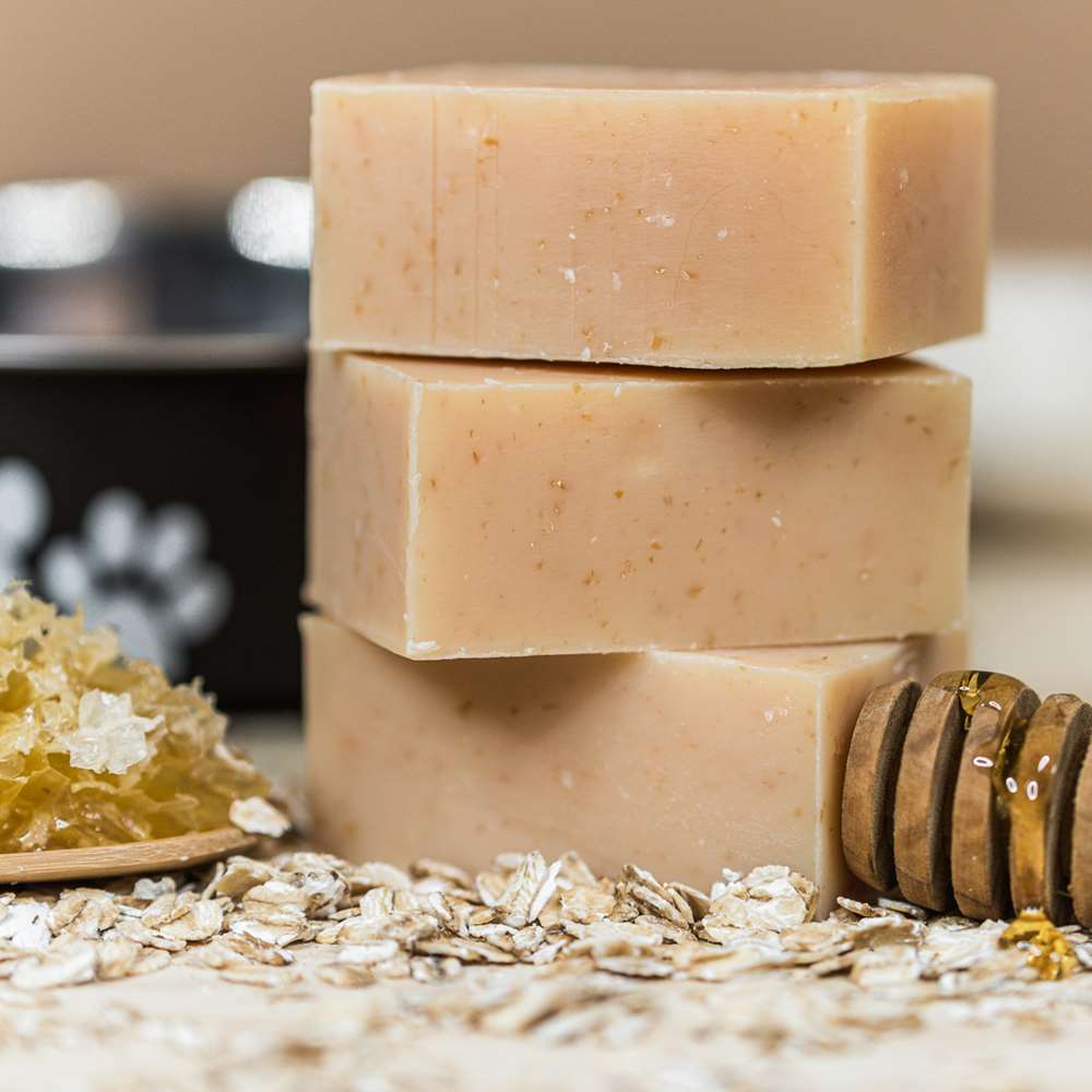 Dog Shampoo: Honey &amp; Oats