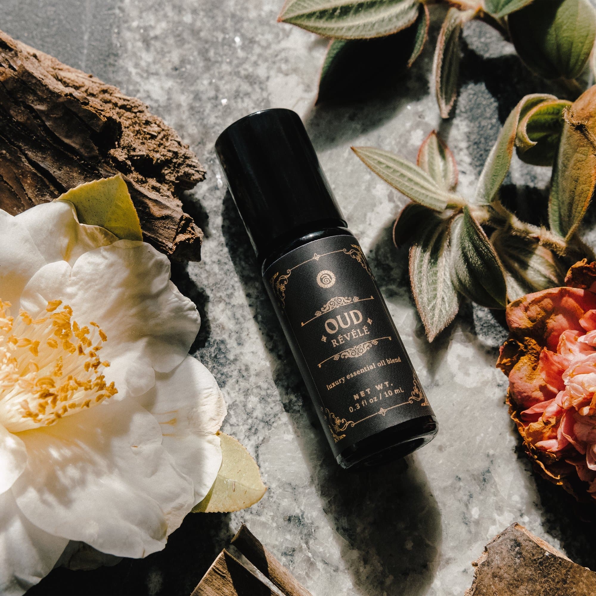 Annmarie Skin Care HIDDEN Oud Révélé (10ml)