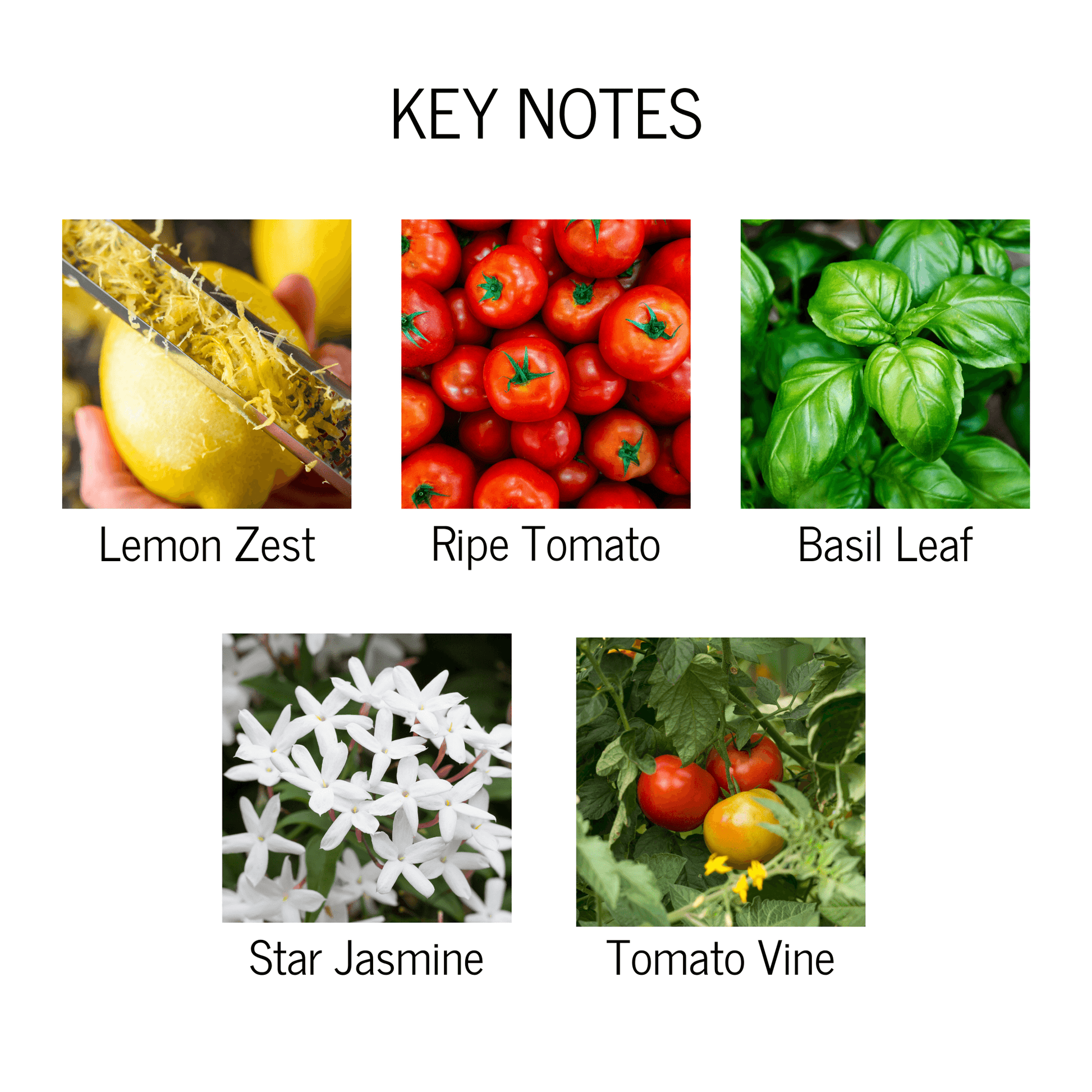 Tomato Vine Scented Candle - My American Goods