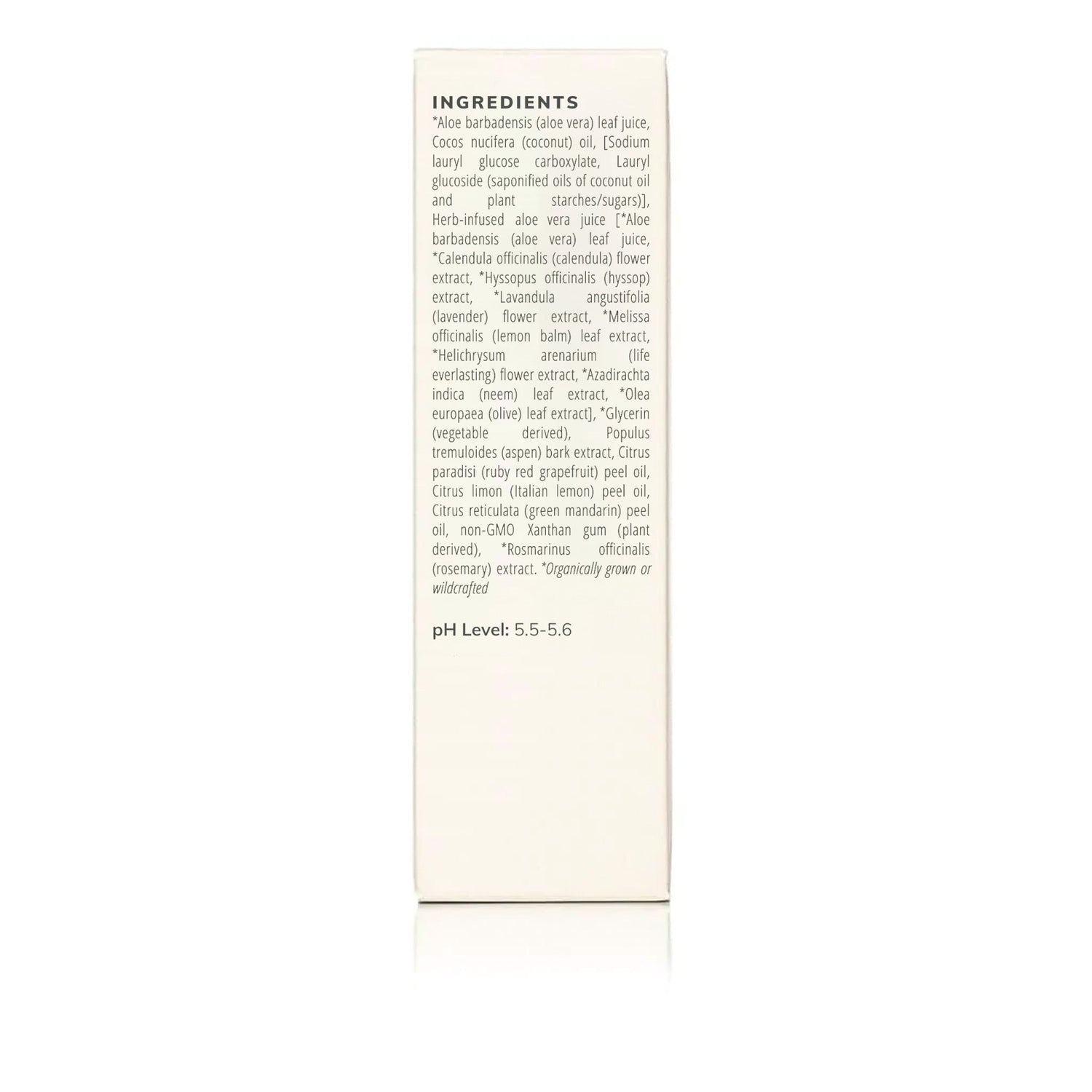 Aloe Herb Cleanser (100ml)