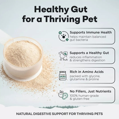 Wild Foods Pets For Dogs | Bone Broth Powder - Canine Gut &amp; Immune Support