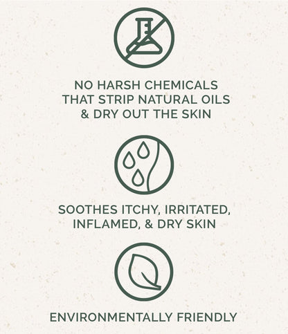 Dog Shampoo: Honey &amp; Oats
