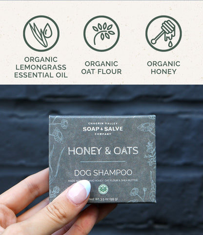 Dog Shampoo: Honey &amp; Oats