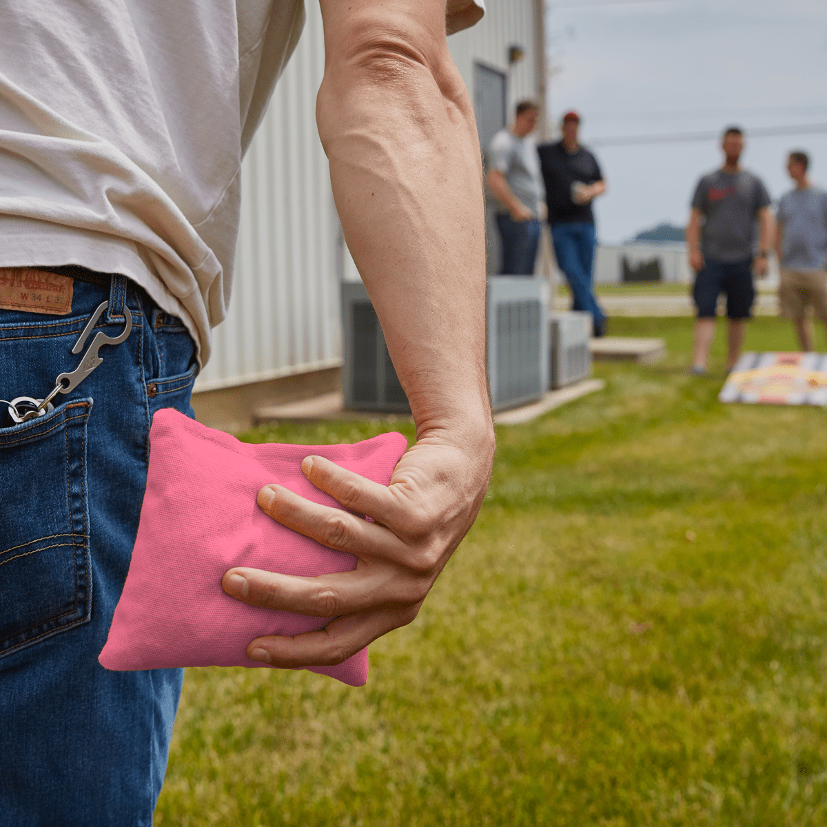 Pink Daily 66x Cornhole Bags