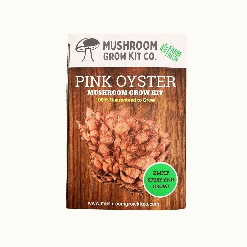 Mushroom Grow Kit Co. Oyster Mushrooms Premium Pink Oyster Mushroom Growing Kit - 5 LBS