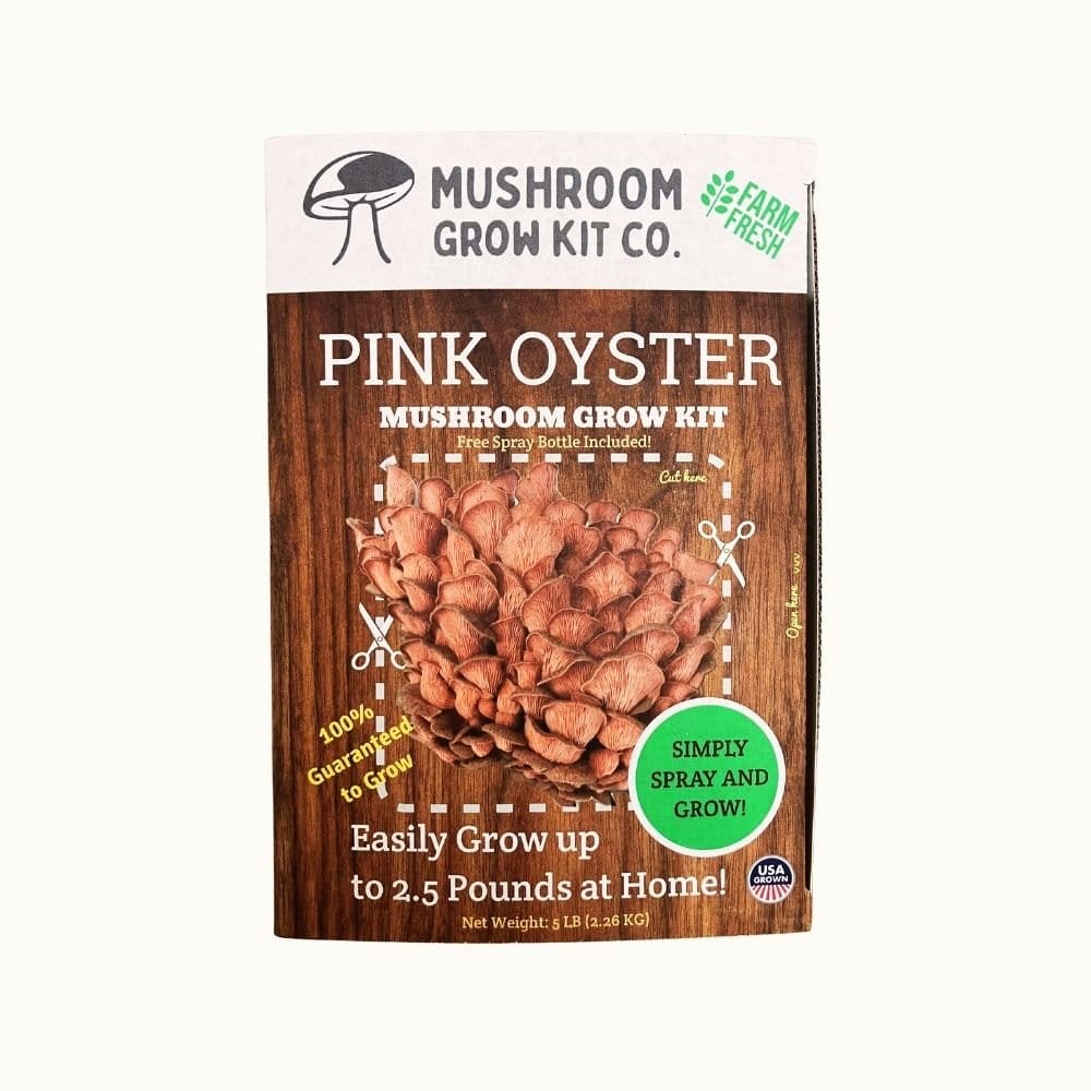 Mushroom Grow Kit Co. Oyster Mushrooms Premium Pink Oyster Mushroom Growing Kit - 5 LBS
