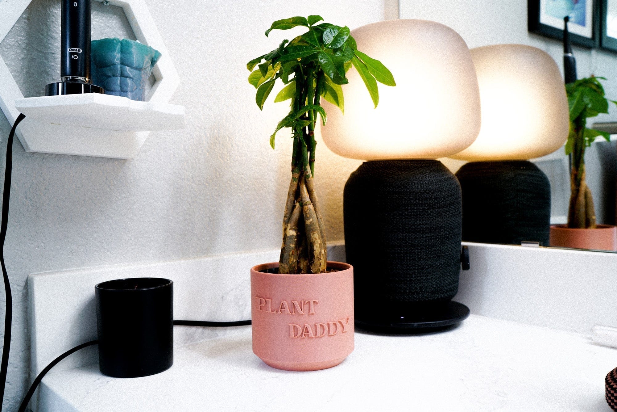 Rosebud HomeGoods Pots &amp; Planters Plant Daddy Planter