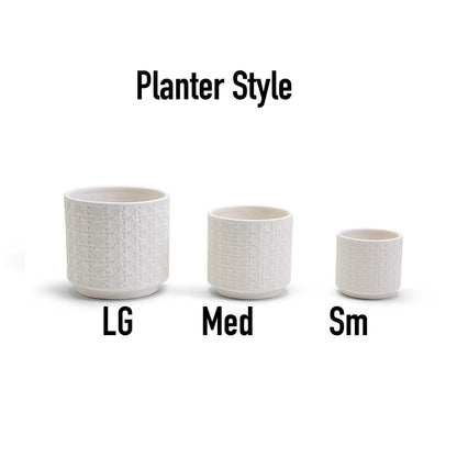 Webbing Planters