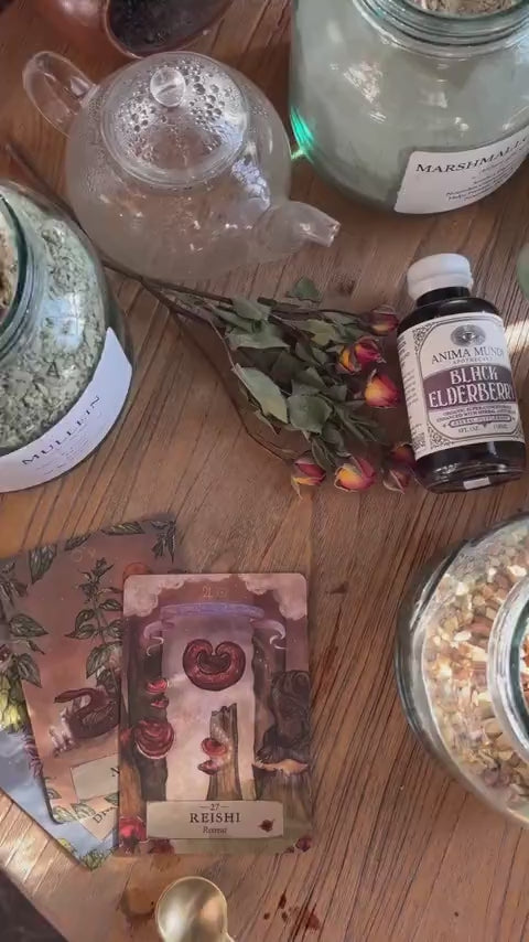 BLACK ELDERBERRY Elixir | Botanical Mushroom Syrup