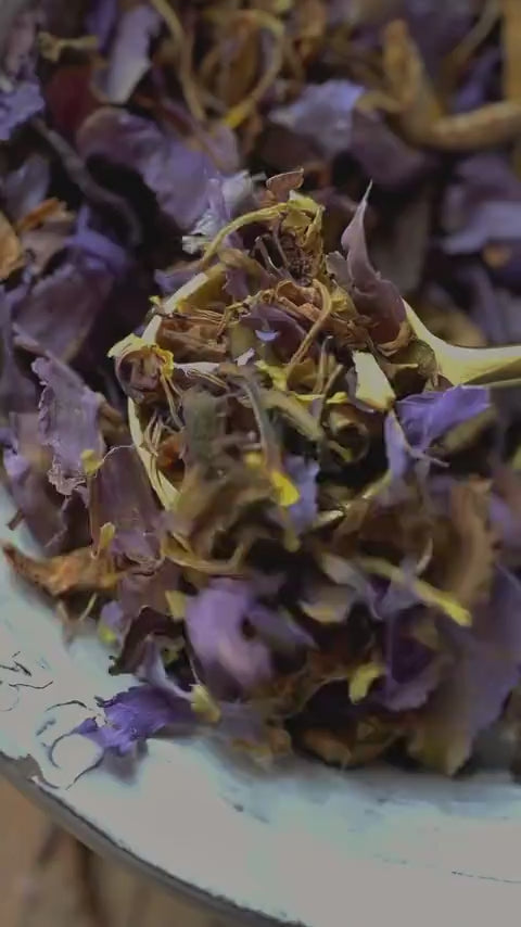 BLUE LOTUS FLOWER | Blossom of Intuition*