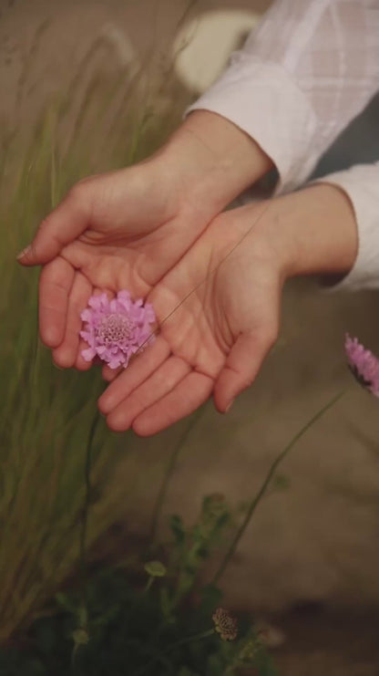 Manuka Honey &amp; Rose Tallow Hand Balm 2 oz