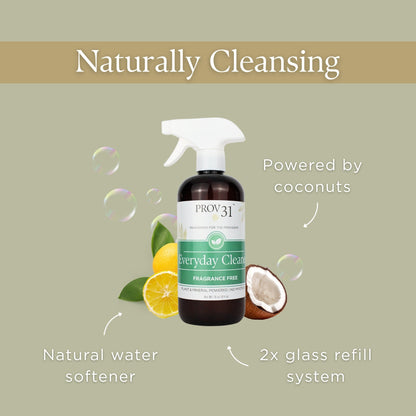 Everyday Spray Cleaner