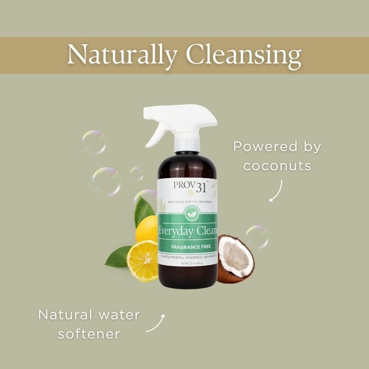 PROV 31™ Household Essentials Everyday Spray Cleaner